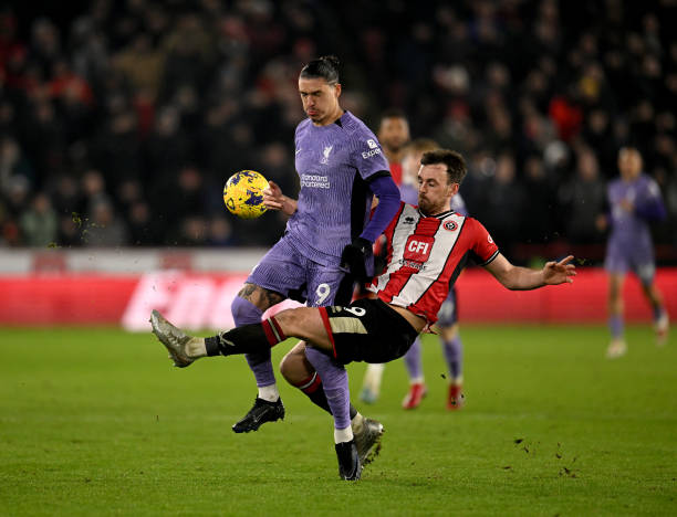 因为自己的 因为自己的